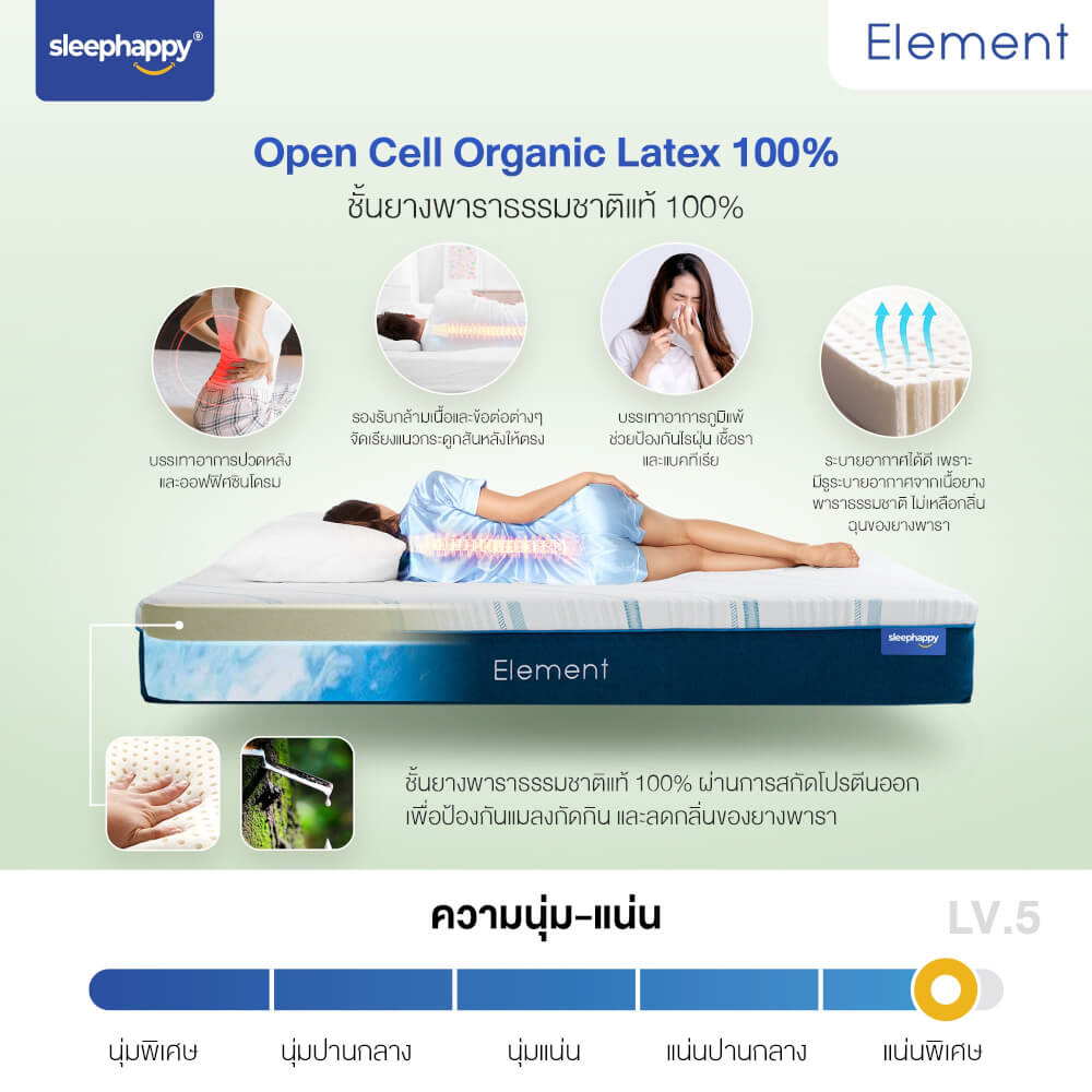 ที่นอน 5 ฟุต SLEEPHAPPY ELEMENT